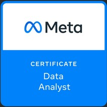 Meta Data Analyst